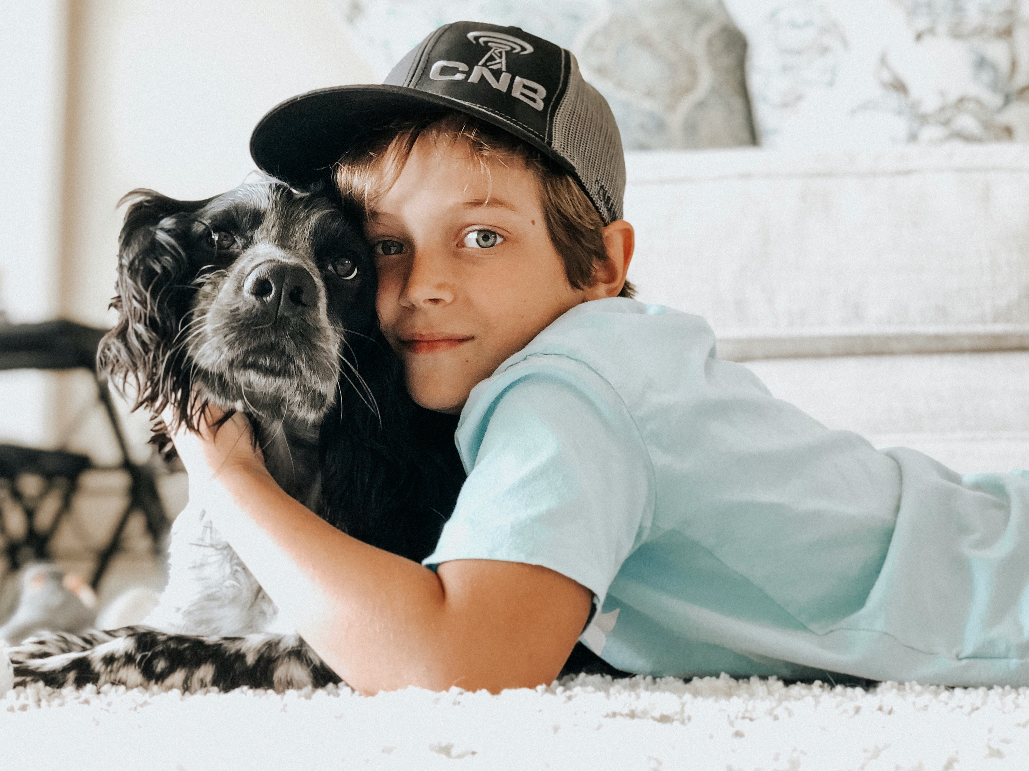 Get a Pet