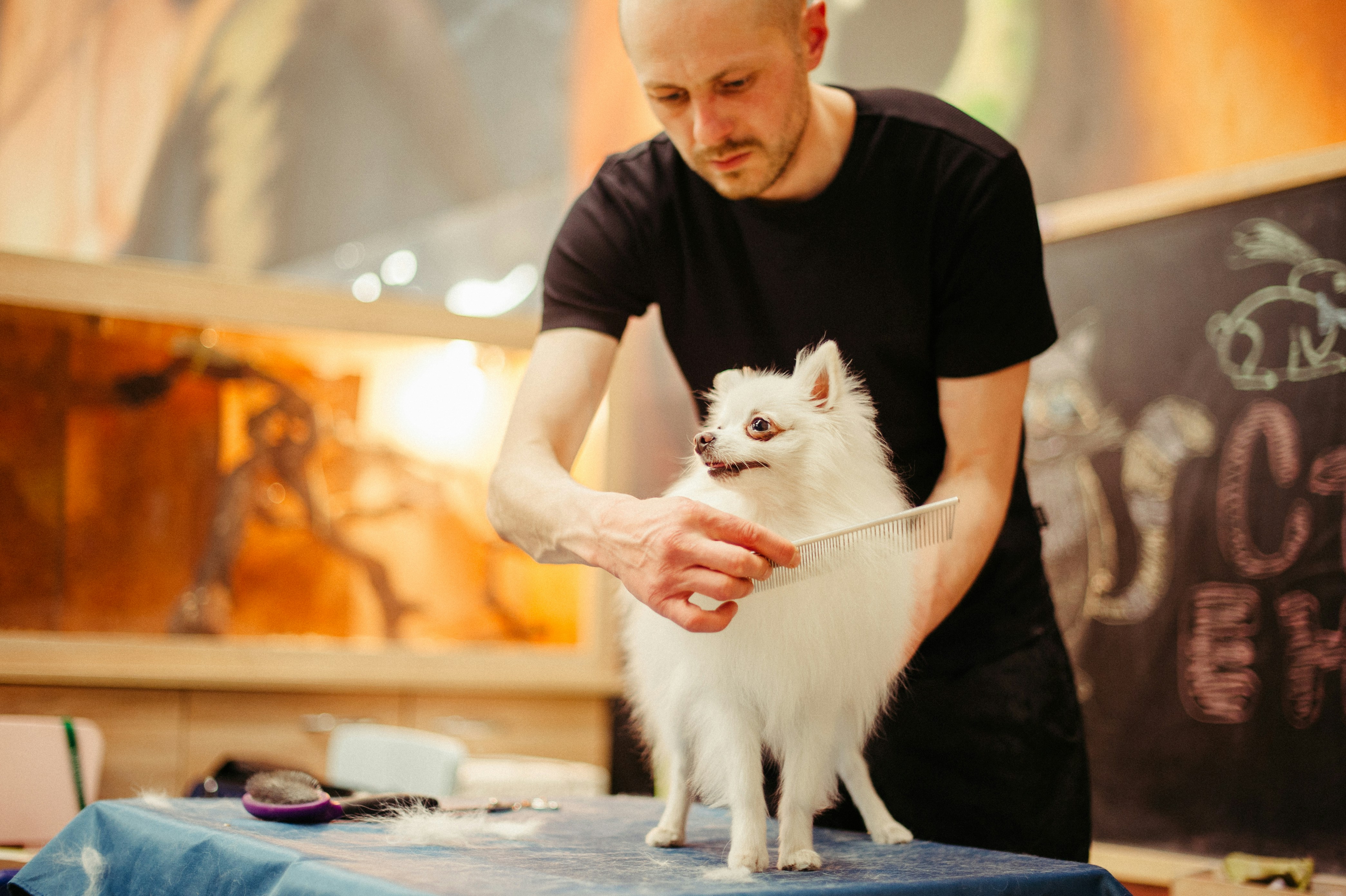 In-store Grooming