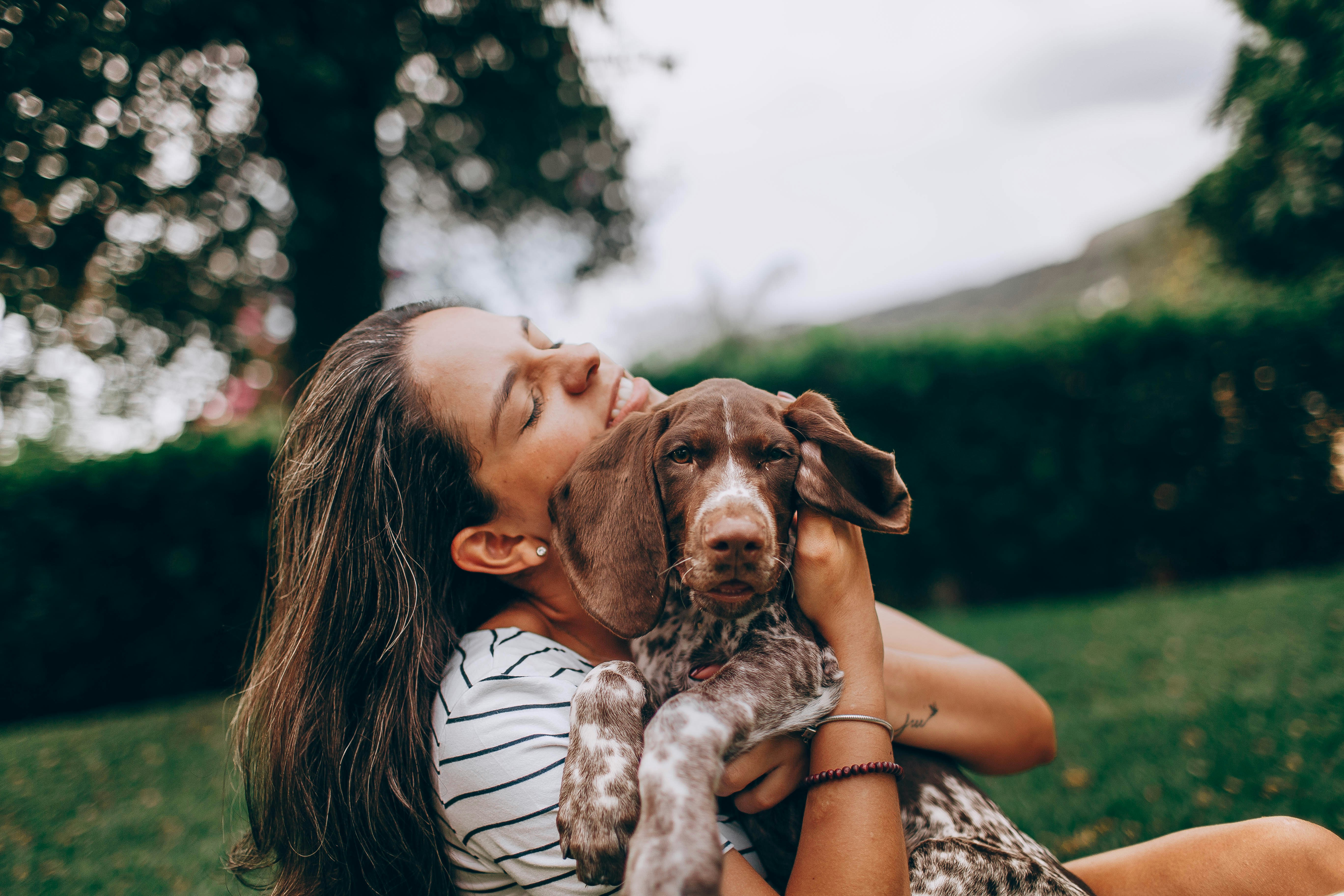 For Pet Parents